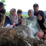 Komodo Trip One Love, Rekomendasi Agen Travel Sedia Homestay Murah di Labuan Bajo