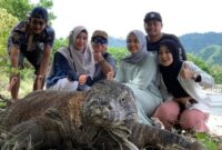 Komodo Trip One Love, Rekomendasi Agen Travel Sedia Homestay Murah di Labuan Bajo