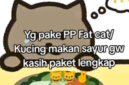 Begini Cara Dapetin PP Fat Cat Makan Sayur yang Viral di Tiktok
