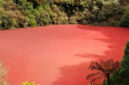Danau Merah Rimba Candi terletak di perbatasan Kota Pagar Alam, Sumatera Selatan, dan Kabupaten Kaur, Provinsi Bengkulu. Foto: Bams