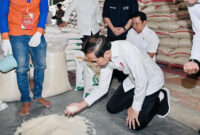 Presiden Joko Widodo (Jokowi) meninjau persediaan beras di Gudang Bulog Dramaga, Kabupaten Bogor, Jawa Barat, Senin (11/9/2023). Foto ilustrasi: Biro Setrpres
