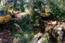Alat berat yang digunakan oleh Pemerintah Desa saat menggusur paksa lahan warga Gurung Desa Golo Lanak. (Doc for Tajukflores.com)