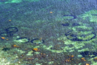 Lingkaran bawah laut yang terlihat di lepas pantai Denmark