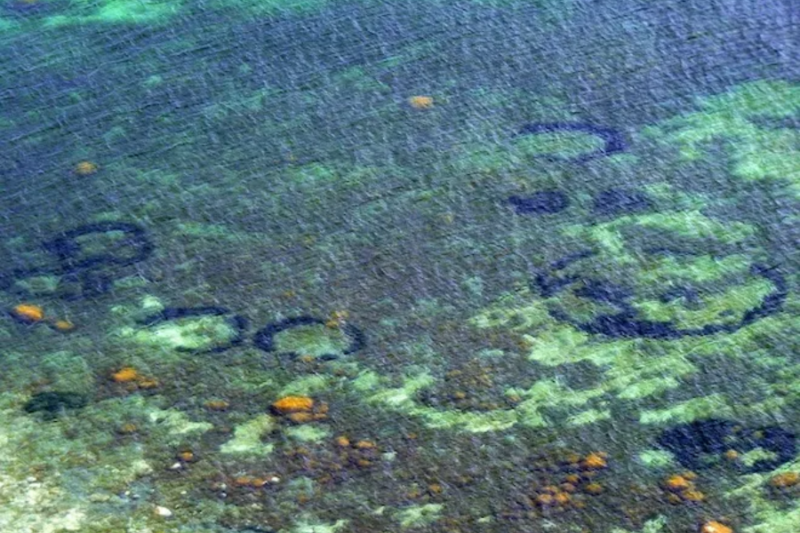 Lingkaran bawah laut yang terlihat di lepas pantai Denmark