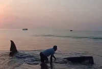 Seekor ikan paus terdampar di Pantai Bangko, Desa Nanga Bere, Kecamatan Lembor Selatan, Manggarai Barat, Nusa Tenggara Timur (NTT)